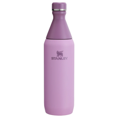 All Day Slim Bottle | 20 OZ - Stanley Create