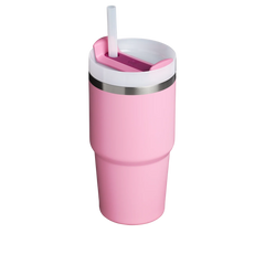 The Quencher H2.0 FlowState™ Tumbler | 20 OZ - Stanley Create